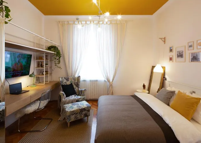 Yellow 클루지나포카